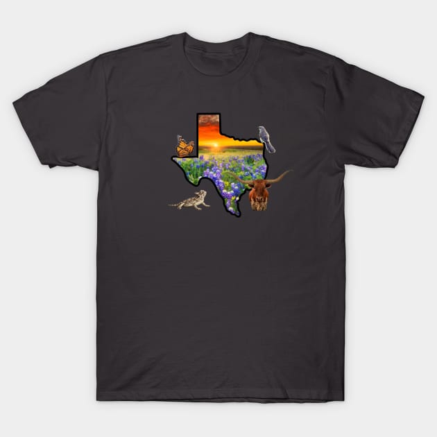 Texas Symbols T-Shirt by Brontysaurus